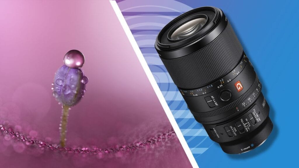 ‘Transcending the limits of traditional macro photography’ – Sony unveils its first ever pro-level G Master macro lens