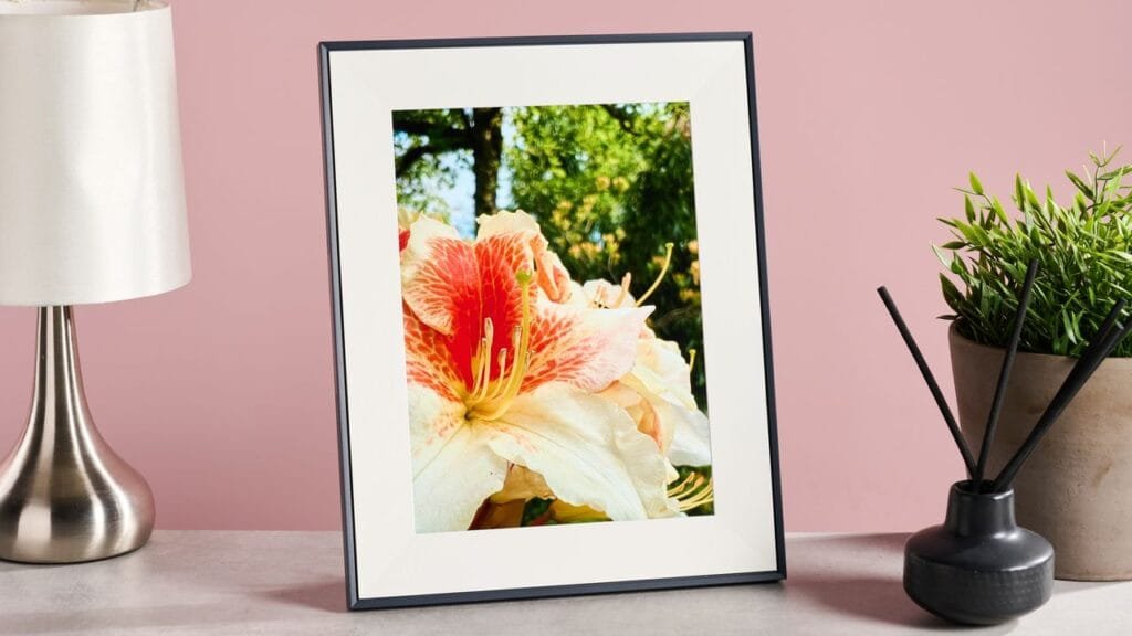 The best digital photo frame 2025: we’ve tested the top picks from Aura, Netgear, Amazon and more