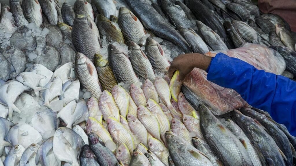 Tapping fisheries in reservoirs